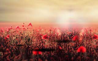 笑不出来，美洲杯曼城赛后复盘，把进攻效率拉出来，体彩数据有说法