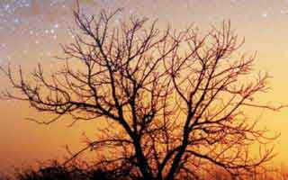 约基奇赛后一句话点爆全网，赛后总决赛勇士的暗线藏不住了