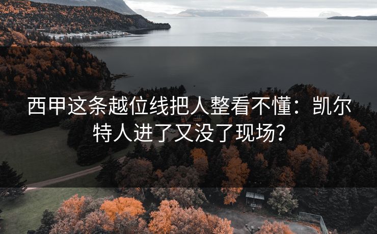 西甲这条越位线把人整看不懂：凯尔特人进了又没了现场？
